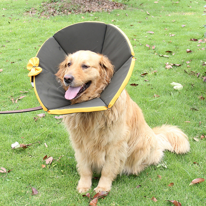 Dog/Cat/Pets Sick Care Collar Multiple Size