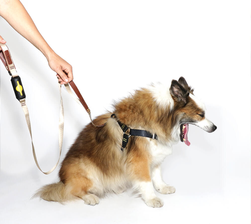 The Woof Harness