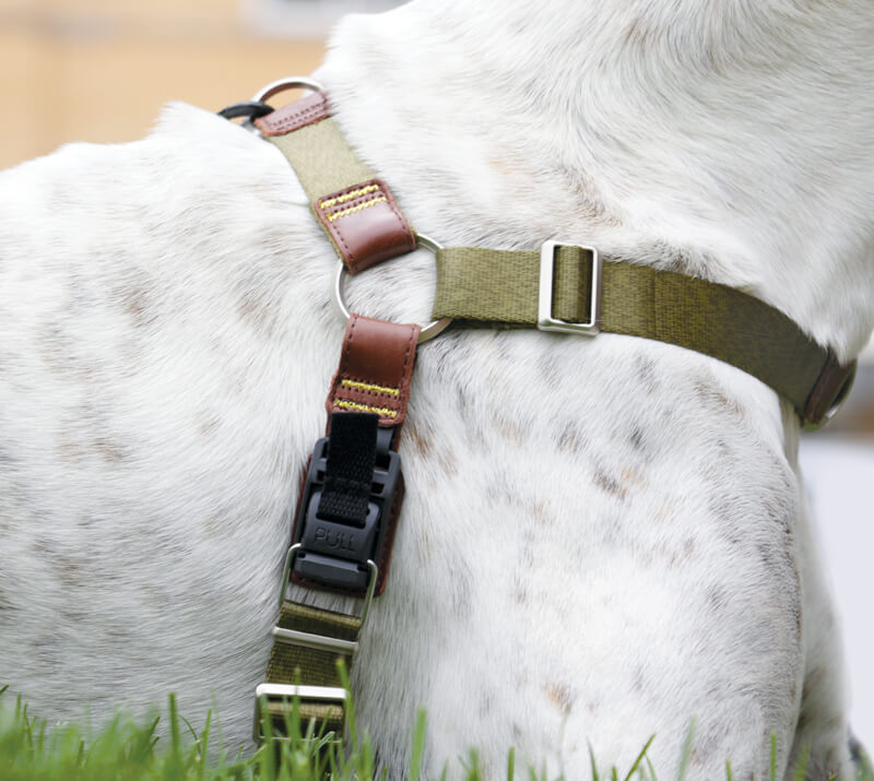 The Woof Harness