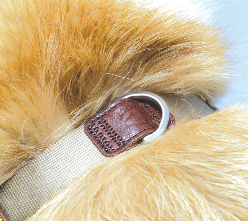 The Woof Harness