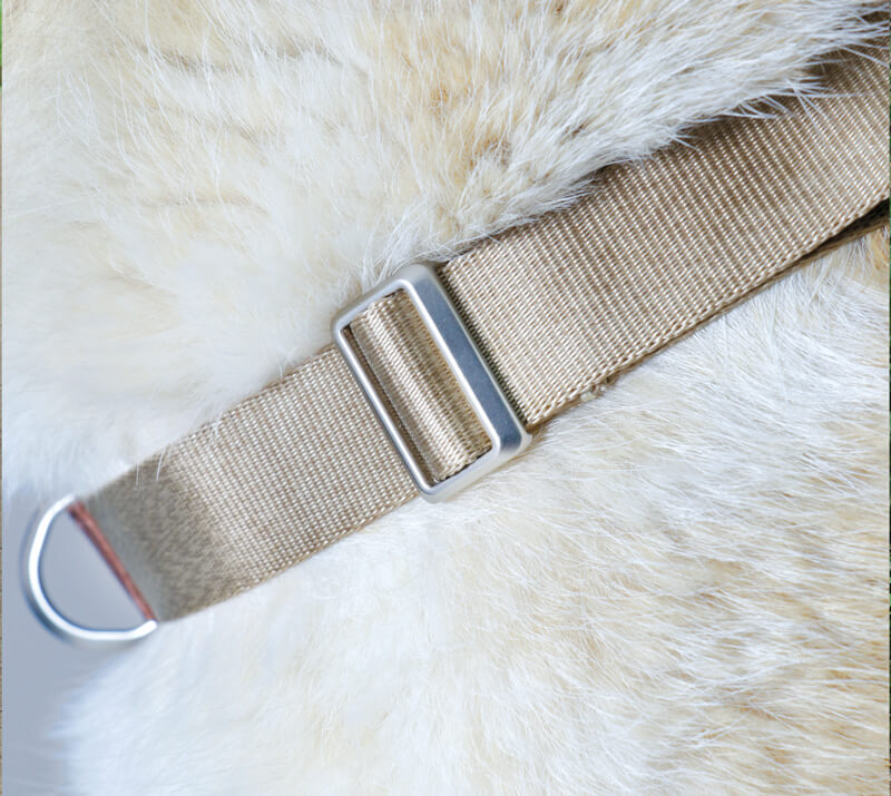 The Woof Harness
