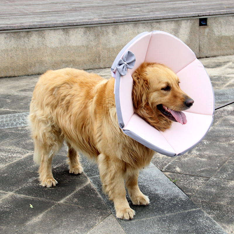 Dog/Cat/Pets Sick Care Collar Multiple Size