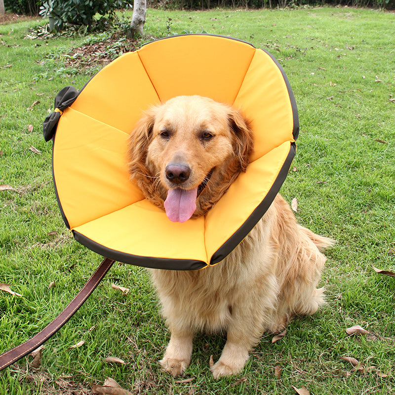 Dog/Cat/Pets Sick Care Collar Multiple Size
