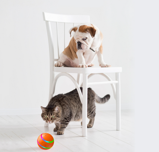 Automatic rolling ball Electric dog/cat toy